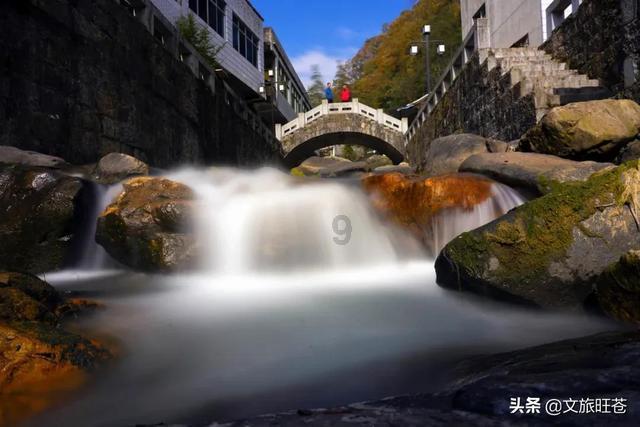 月光影视