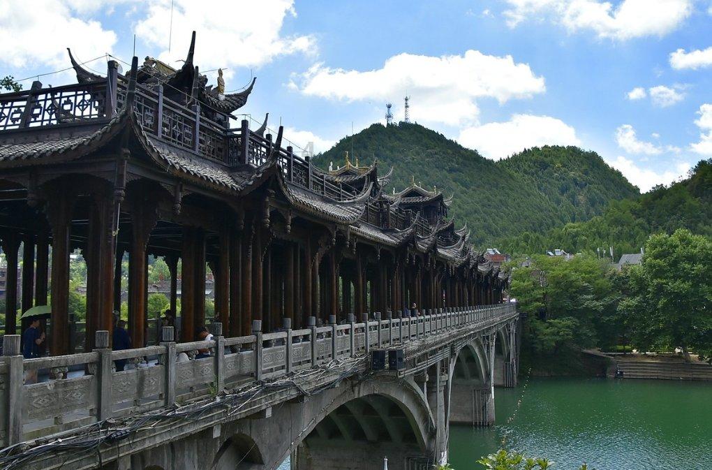 贵州三都:首批羊肚菌“抢鲜”上市
